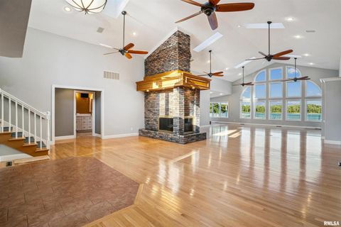 Tiny photo for 21604 RIVER Road N, Cordova, IL 61242 (MLS # QC4269949)