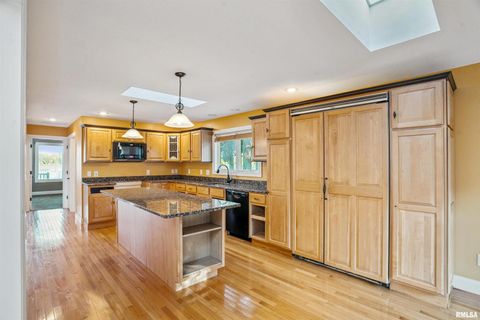 Tiny photo for 21604 RIVER Road N, Cordova, IL 61242 (MLS # QC4269949)