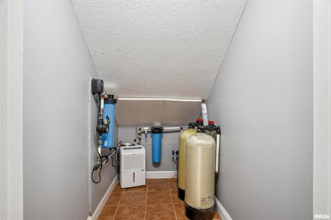 Tiny photo for 21604 RIVER Road N, Cordova, IL 61242 (MLS # QC4269949)