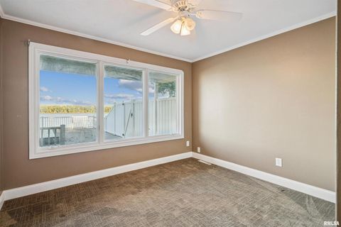 Tiny photo for 21604 RIVER Road N, Cordova, IL 61242 (MLS # QC4269949)