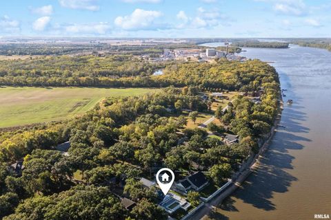 Tiny photo for 21604 RIVER Road N, Cordova, IL 61242 (MLS # QC4269949)