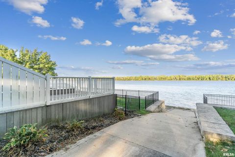 Tiny photo for 21604 RIVER Road N, Cordova, IL 61242 (MLS # QC4269949)