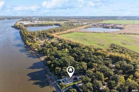 Tiny photo for 21604 RIVER Road N, Cordova, IL 61242 (MLS # QC4269949)