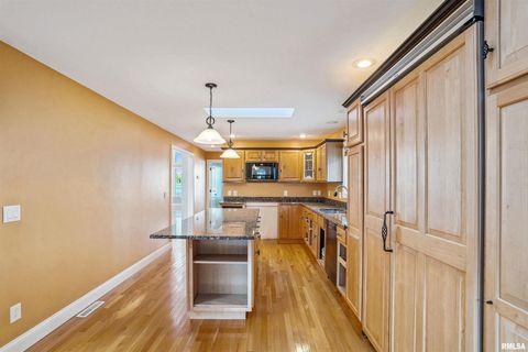 Tiny photo for 21604 RIVER Road N, Cordova, IL 61242 (MLS # QC4269949)