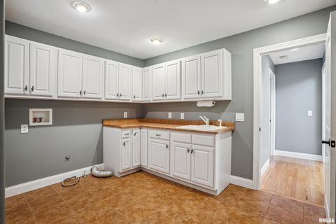 Tiny photo for 21604 RIVER Road N, Cordova, IL 61242 (MLS # QC4269949)