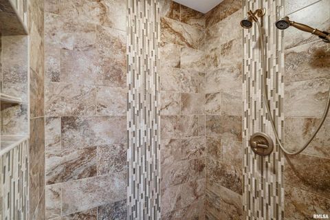 Tiny photo for 21604 RIVER Road N, Cordova, IL 61242 (MLS # QC4269949)