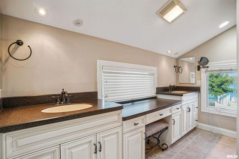 Tiny photo for 21604 RIVER Road N, Cordova, IL 61242 (MLS # QC4269949)