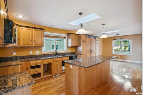 Tiny photo for 21604 RIVER Road N, Cordova, IL 61242 (MLS # QC4269949)