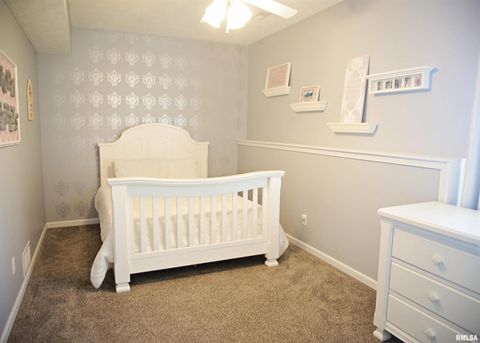 Tiny photo for 12972 Whipporwill Lane, Creal Springs, IL 62922 (MLS # EB460183)