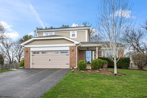 Photo of 163 DENBERRY Court, Lake Zurich, IL 60047 (MLS # 12639997)