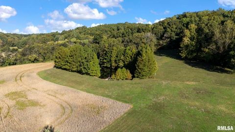 Tiny photo for 1810 Berryville Road, Jonesboro, IL 62952 (MLS # 12602581)