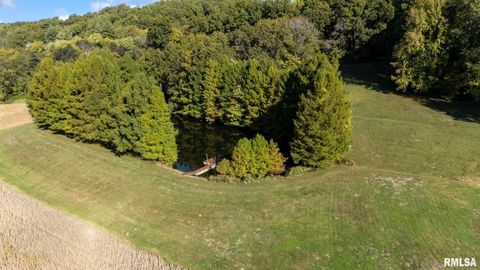 Tiny photo for 1810 Berryville Road, Jonesboro, IL 62952 (MLS # 12602581)