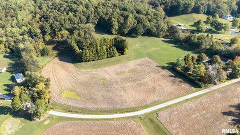 Tiny photo for 1810 Berryville Road, Jonesboro, IL 62952 (MLS # 12602581)