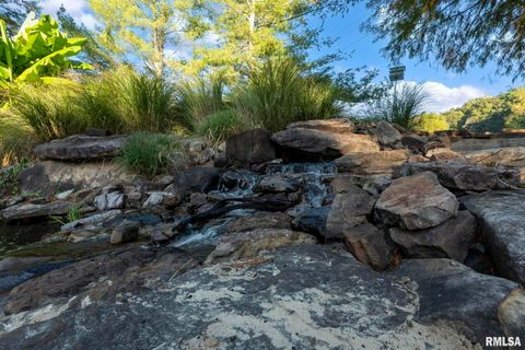 Tiny photo for 1810 Berryville Road, Jonesboro, IL 62952 (MLS # 12602581)