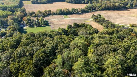 Tiny photo for 1810 Berryville Road, Jonesboro, IL 62952 (MLS # 12602581)