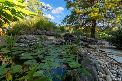 Tiny photo for 1810 Berryville Road, Jonesboro, IL 62952 (MLS # 12602581)