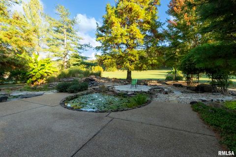 Tiny photo for 1810 Berryville Road, Jonesboro, IL 62952 (MLS # 12602581)