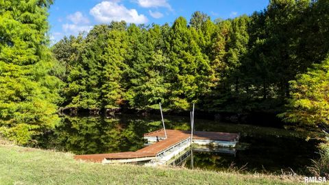 Tiny photo for 1810 Berryville Road, Jonesboro, IL 62952 (MLS # 12602581)