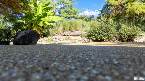 Tiny photo for 1810 Berryville Road, Jonesboro, IL 62952 (MLS # 12602581)