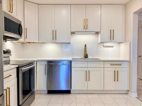 Tiny photo for 9355 Landings Lane #503, Des Plaines, IL 60016 (MLS # 12775919)