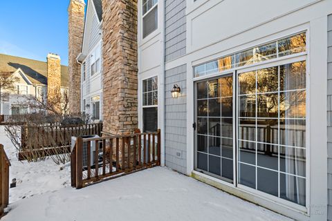 Tiny photo for 21946 W Tori Lane, Deer Park, IL 60010 (MLS # 12541410)