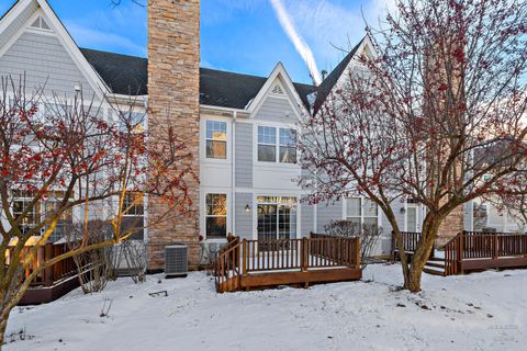 Tiny photo for 21946 W Tori Lane, Deer Park, IL 60010 (MLS # 12541410)