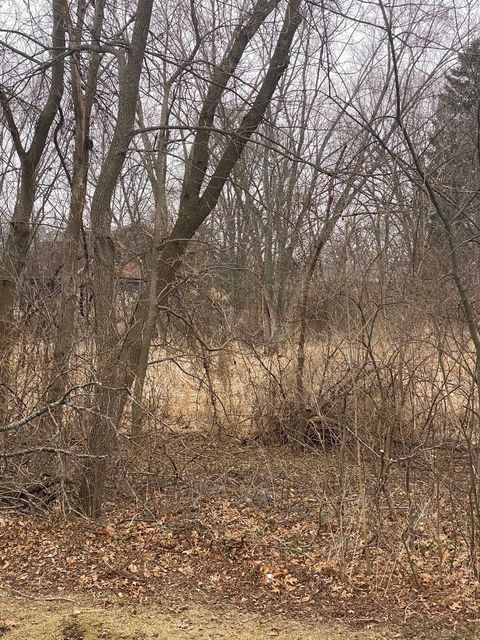 21177 N Valley Road Kildeer IL 60047