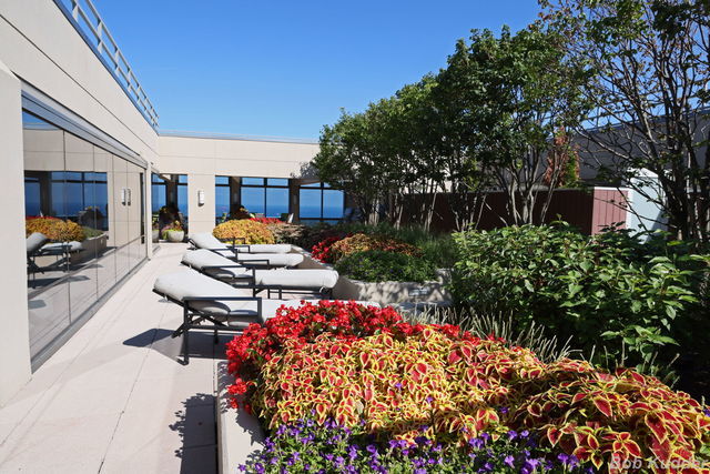 Chicago, Illinois 60603, United States, 1 Bedroom Bedrooms, ,1 BathroomBathrooms,Residential,Contingent,251855