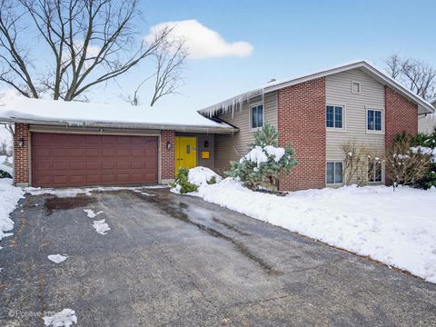 Tiny photo for 2419 59th Street, Woodridge, IL 60517 (MLS # 12531486)