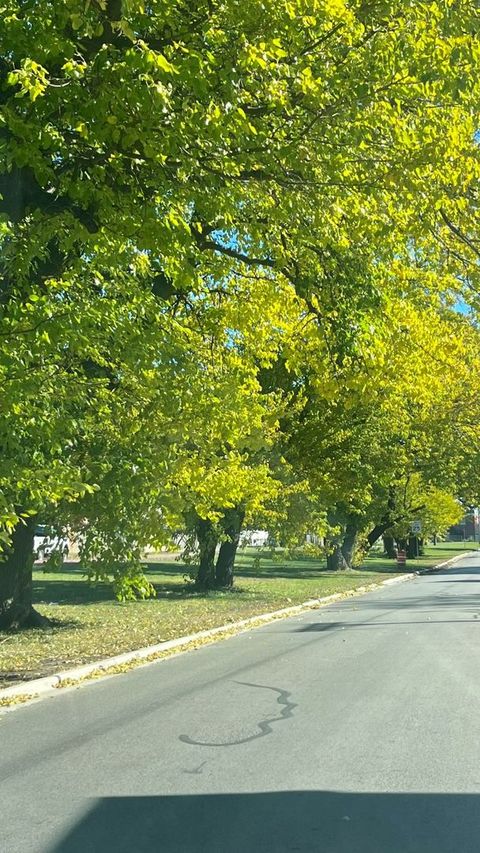 Tiny photo for 1201 S 15th Avenue, Maywood, IL 60153 (MLS # 12518427)