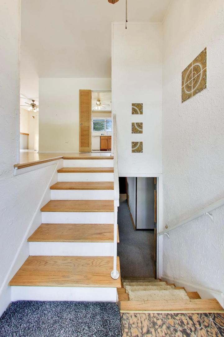 41 Redwood Trail