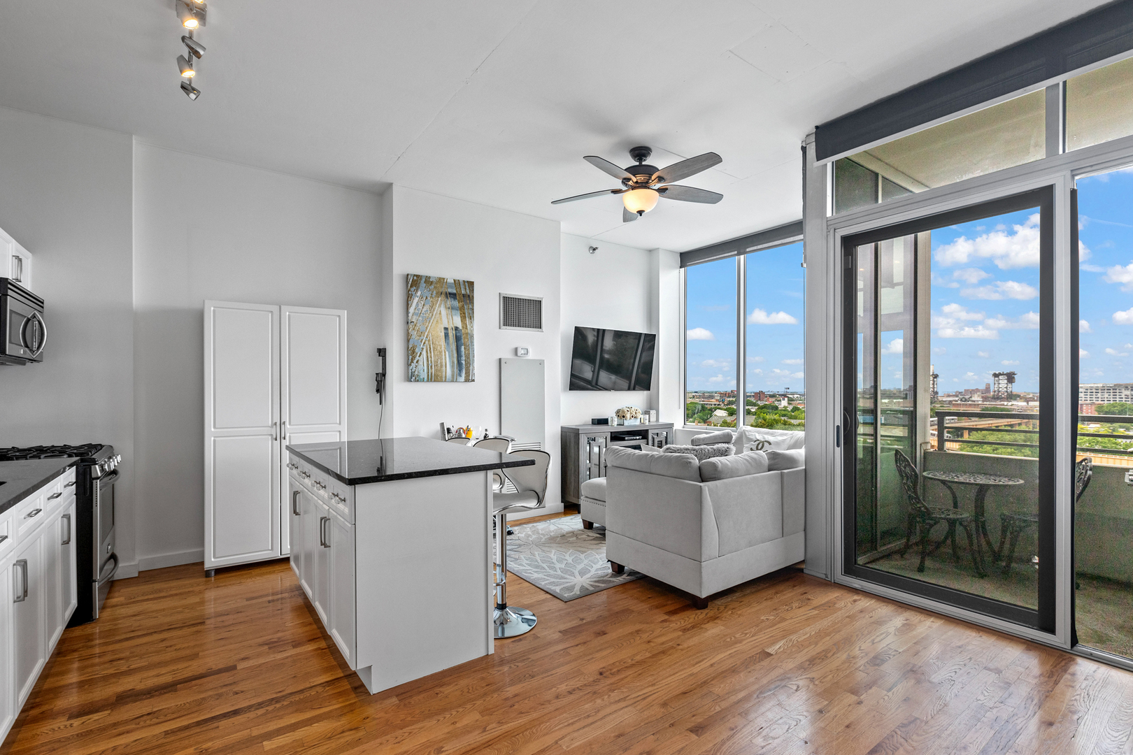 1720 S Michigan Avenue 914