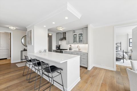 Tiny photo for Chicago, IL 60657 (MLS # 12637614)
