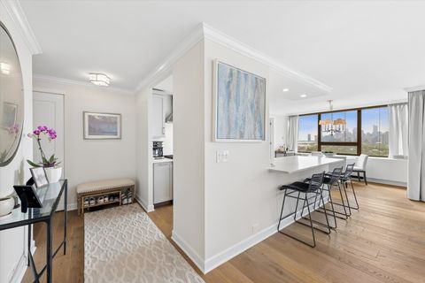 Tiny photo for Chicago, IL 60657 (MLS # 12637614)