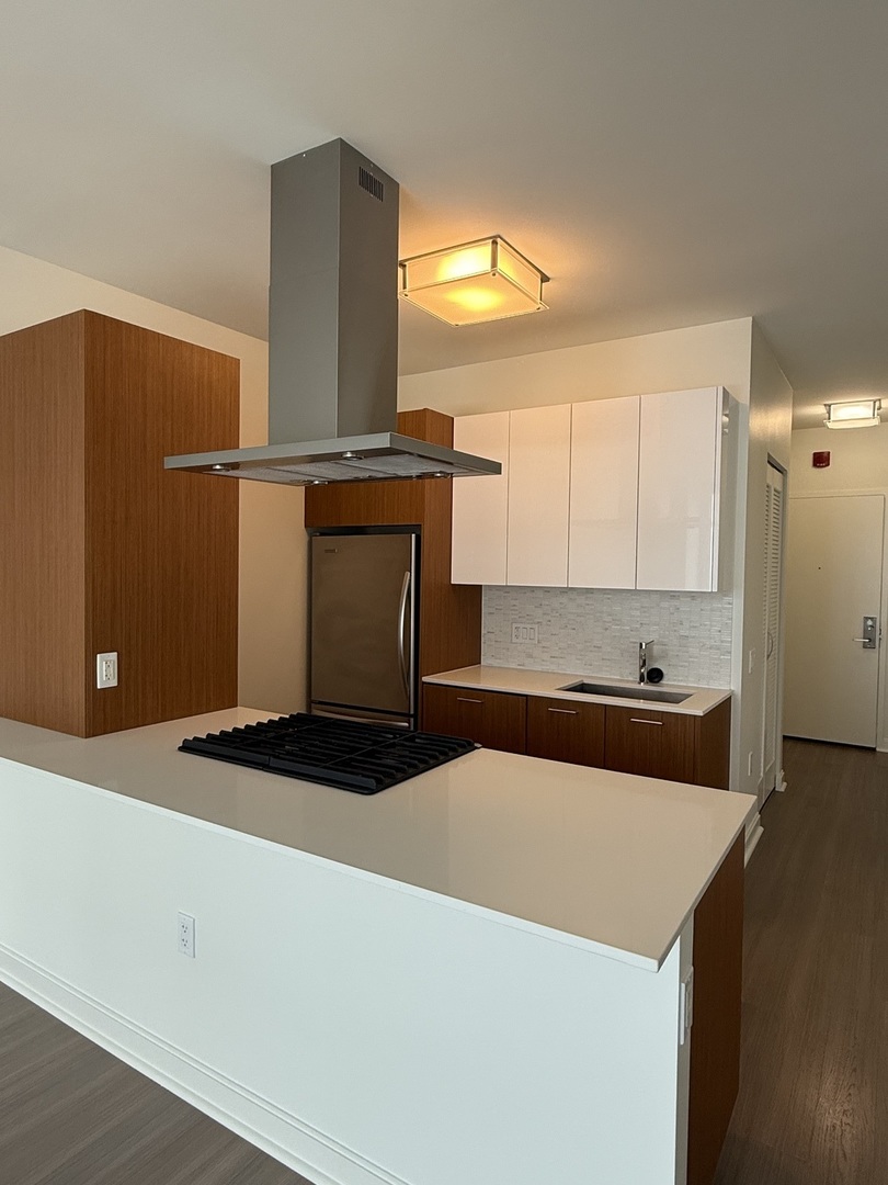 500 N Lake Shore Drive 409