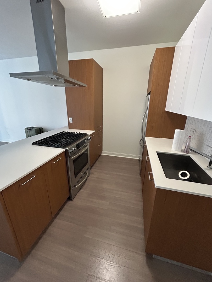 500 N Lake Shore Drive 409