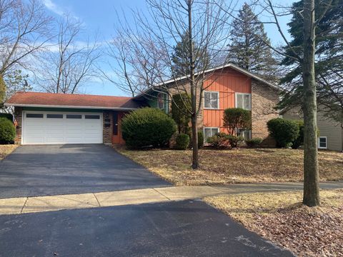Photo of 6013 Ridgeway Drive, Woodridge, IL 60517 (MLS # 12606456)