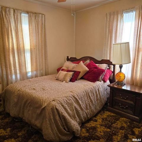 Tiny photo for 1317 W CHERRY Street, Herrin, IL 62948 (MLS # QC4269246)