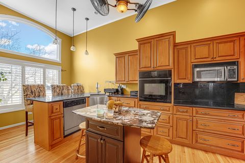 Tiny photo for 70 W Deer Haven ct Court, Crete, IL 60417 (MLS # 12574761)