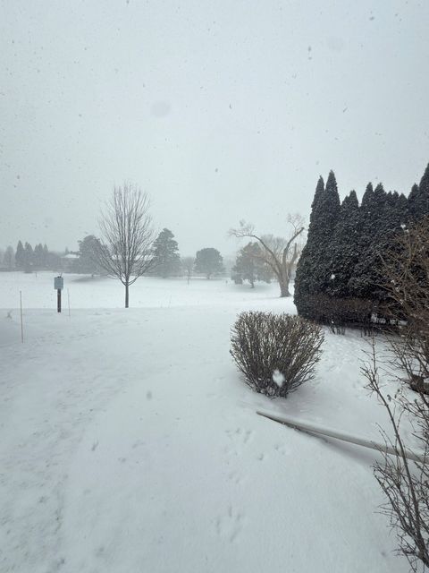 Tiny photo for 340 Redwing Drive, Deerfield, IL 60015 (MLS # 12557400)