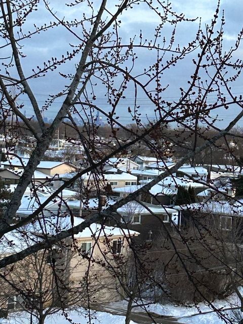 Tiny photo for 9500 N Washington Street #505, Niles, IL 60714 (MLS # 12543535)