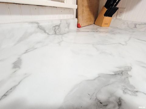 Tiny photo for 221 HICKORY Street, Flora, IL 62839 (MLS # EB460107)