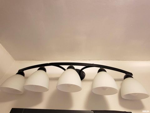 Tiny photo for 221 HICKORY Street, Flora, IL 62839 (MLS # EB460107)