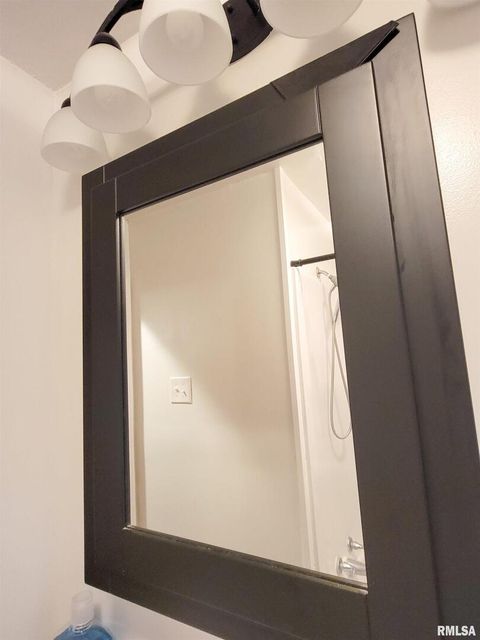 Tiny photo for 221 HICKORY Street, Flora, IL 62839 (MLS # EB460107)