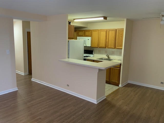 3950 N LAKE SHORE Drive 1529E