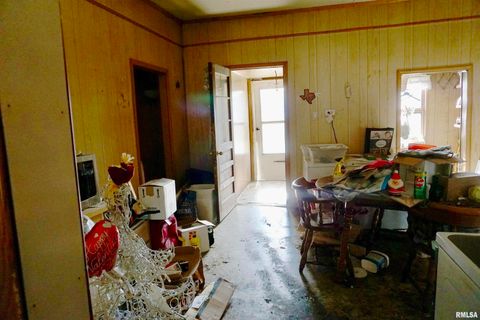 Tiny photo for 205 9TH Street, Colp, IL 62921 (MLS # EB460700)