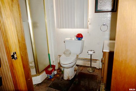 Tiny photo for 205 9TH Street, Colp, IL 62921 (MLS # EB460700)