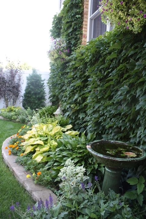 Tiny photo for 7224 N Oleander Avenue, Chicago, IL 60631 (MLS # 12599644)