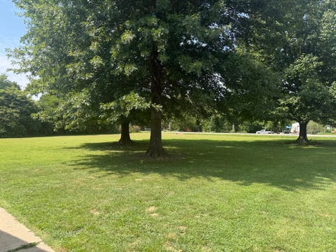 Tiny photo for 2218 S Thompsonville Road, Thompsonville, IL 62890 (MLS # 12728510)