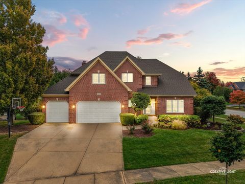 3420 SUNNYSIDE Court Naperville IL 60564